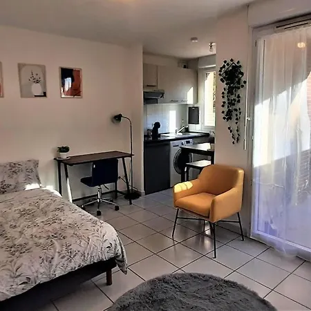 Studio Charmant Et Moderne Grand Confort Toulouse Buitenkant foto